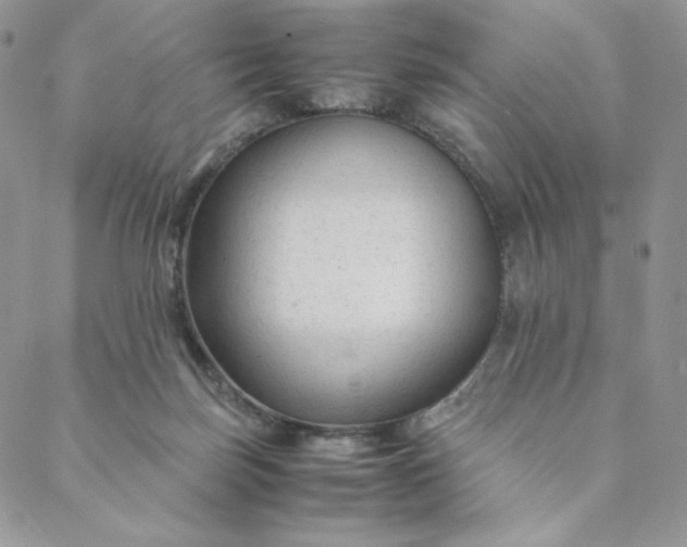 X0000088620171200706081531