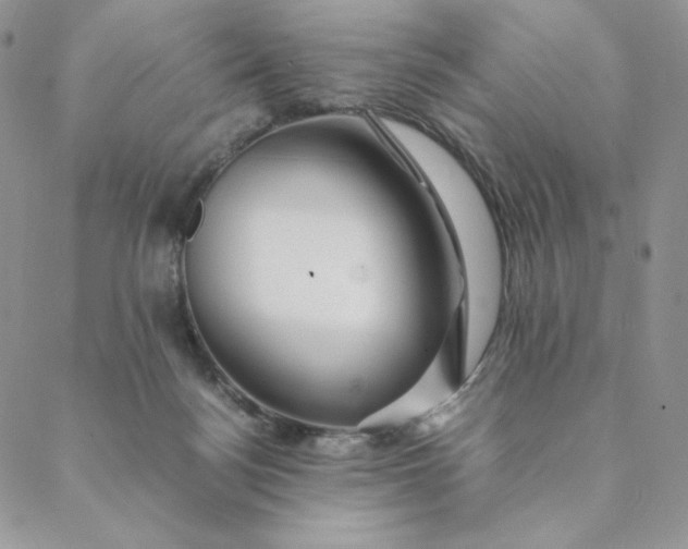X0000088620172200706081531