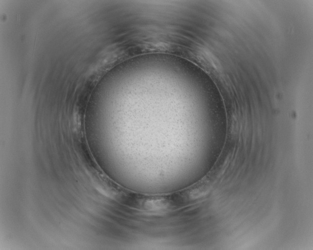 X0000088620173200706081531