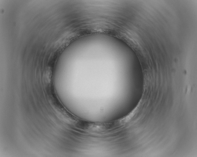 X0000088620174200706081531