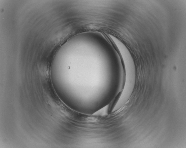 X0000088620176200706081531
