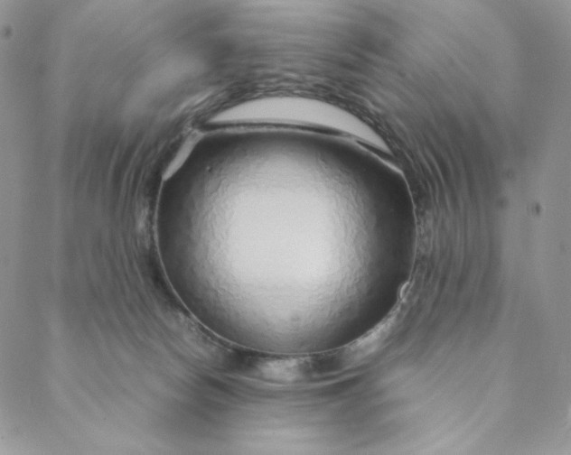 X0000088620178200706081531