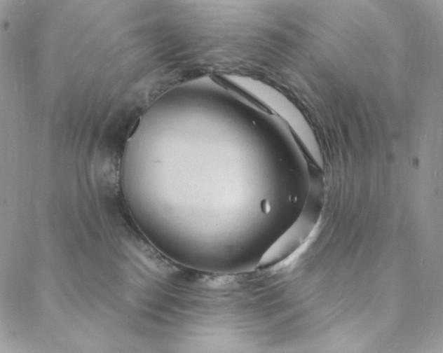 X0000088620186200706081531