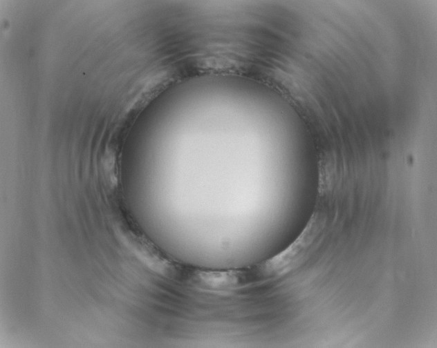 X0000088620187200706081531