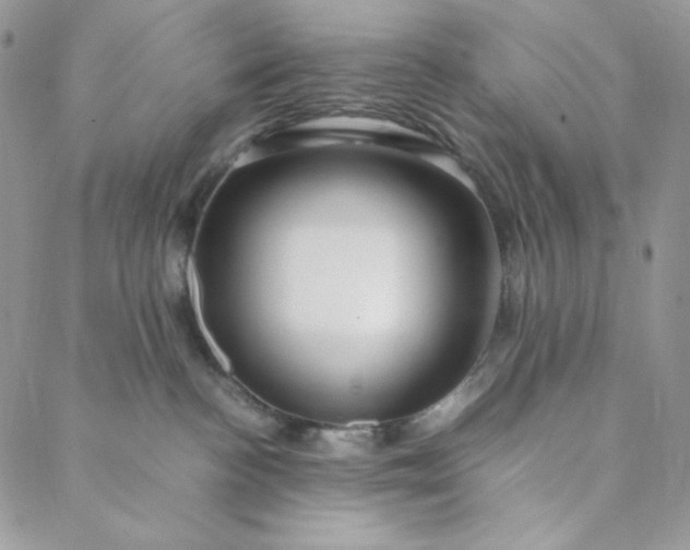 X0000088620188200706081531