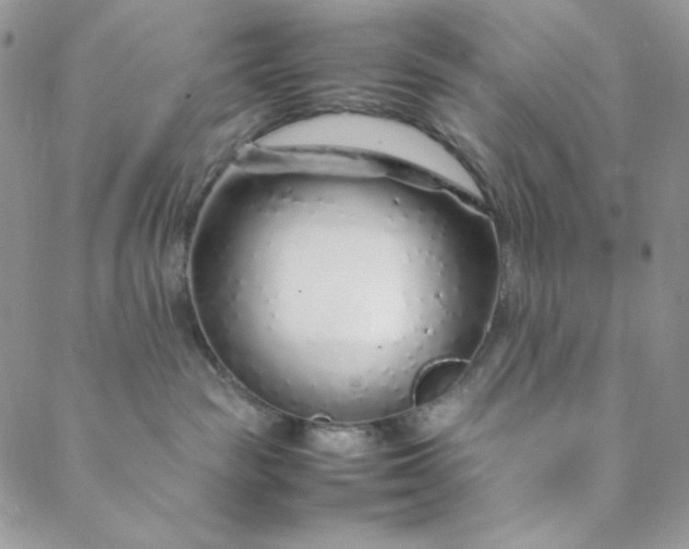 X0000088620189200706081531