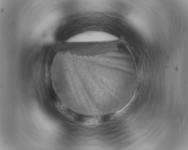 X0000088620191200706081531