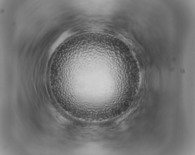 X0000088620195200706081530