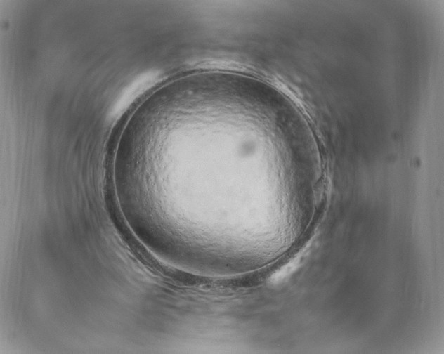 X0000088620199200706081530