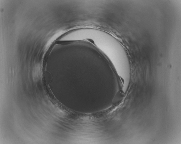 X0000088620200200706081530