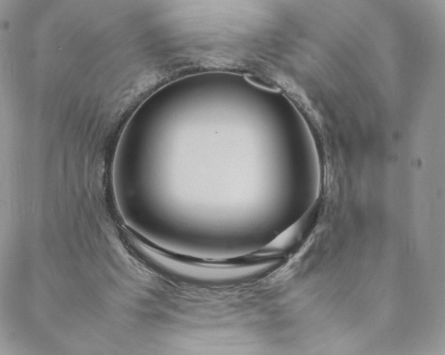 X0000088620201200706081530