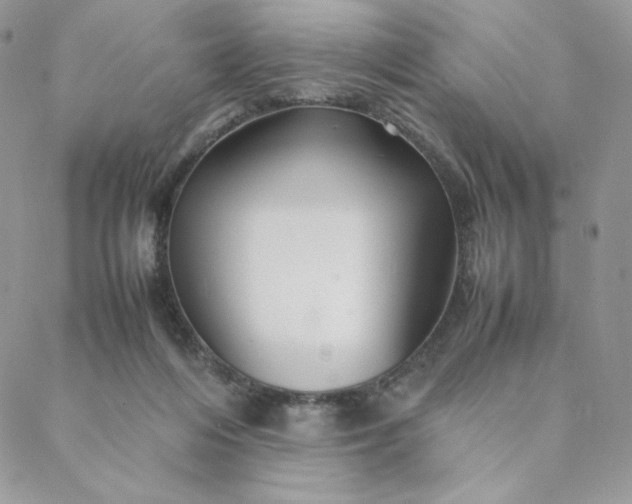 X0000088620216200706081530