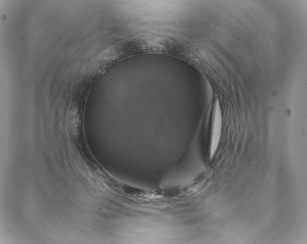 X0000088620223200706081530