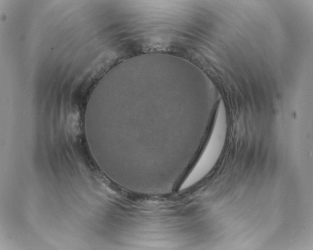 X0000088620224200706081530