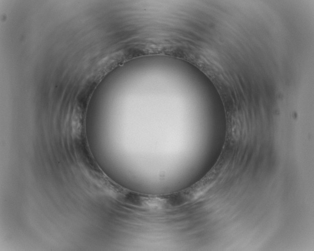 X0000088620226200706081530