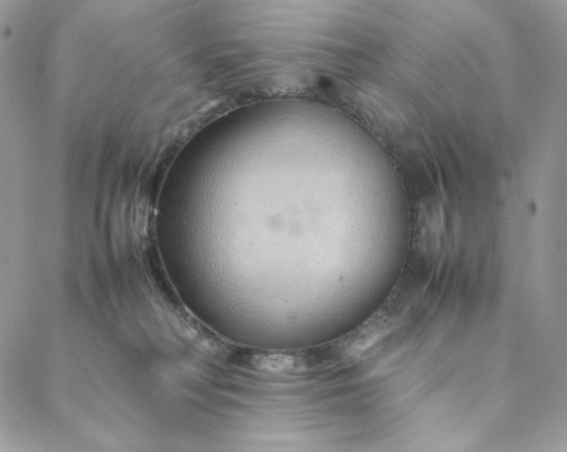 X0000088620230200706081530