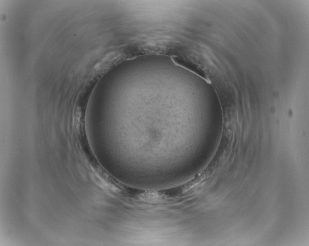 X0000088620231200706081530