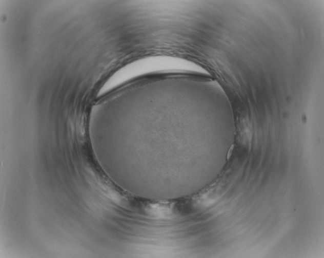 X0000088620232200706081530