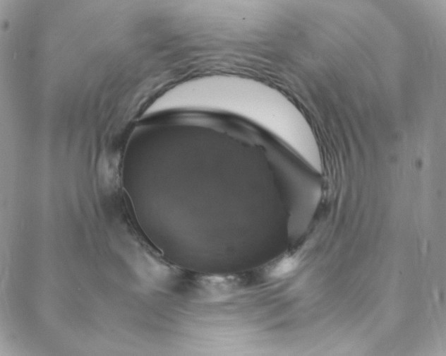 X0000088620239200706081529