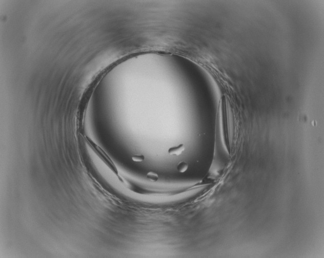 X0000088620244200706081529