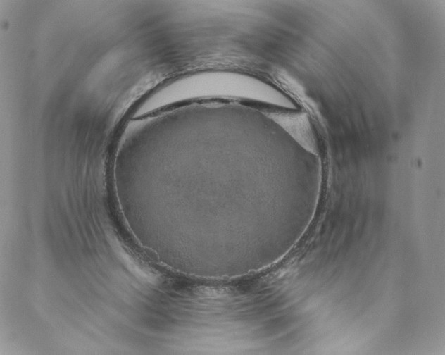 X0000088620250200706081529