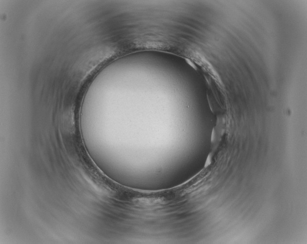 X0000088620251200706081529