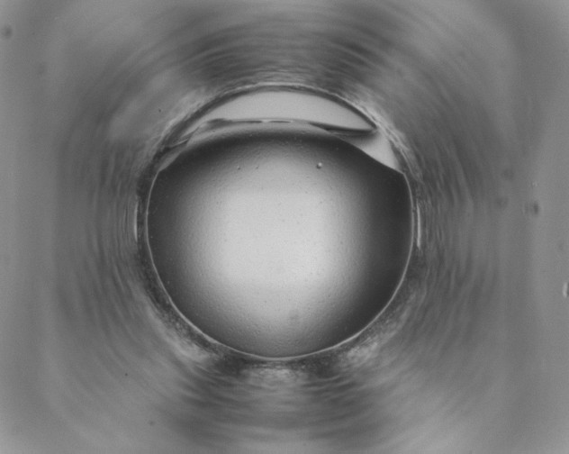 X0000088620253200706081529