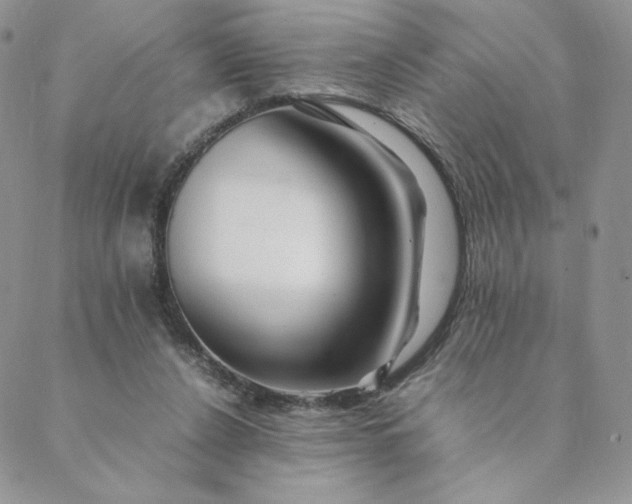 X0000088620256200706081529