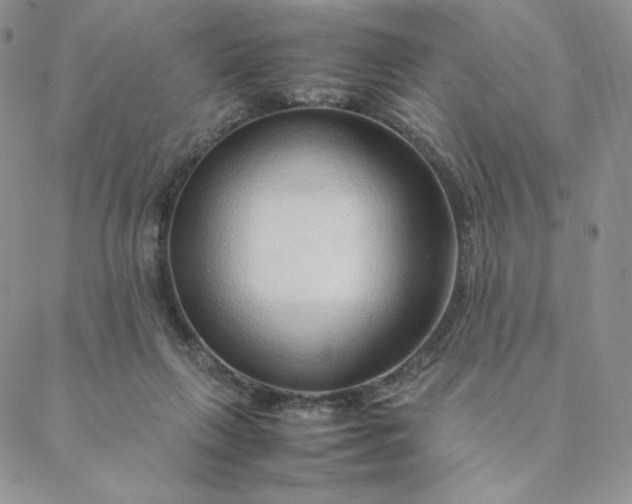 X0000088620263200706081529