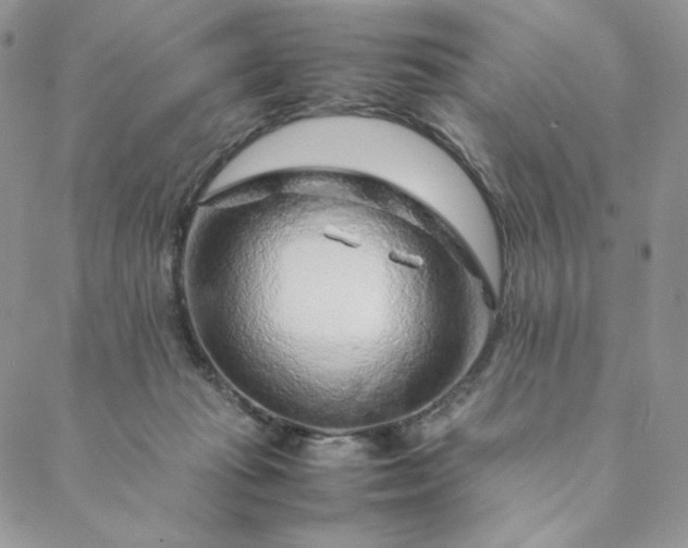 X0000088620269200706081529