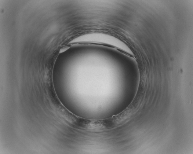 X0000088620270200706081529