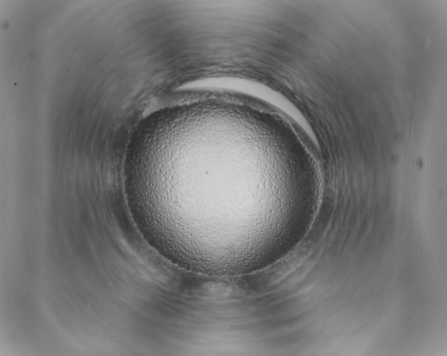X0000088620272200706081529