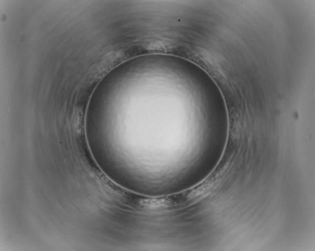 X0000088620273200706081529