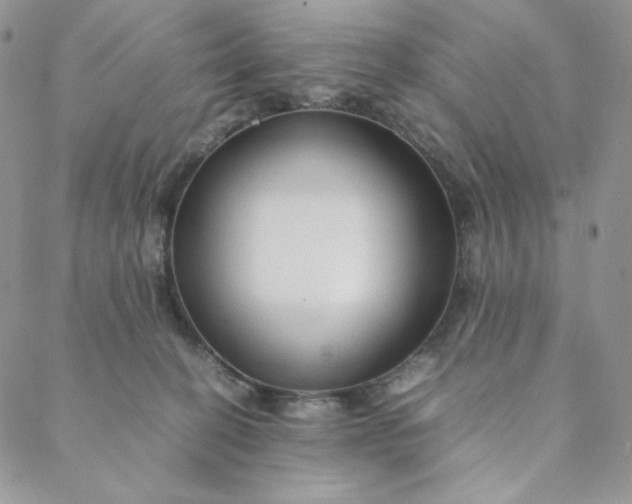 X0000088620274200706081529