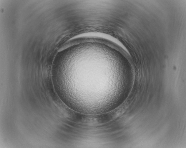 X0000088620276200706081529