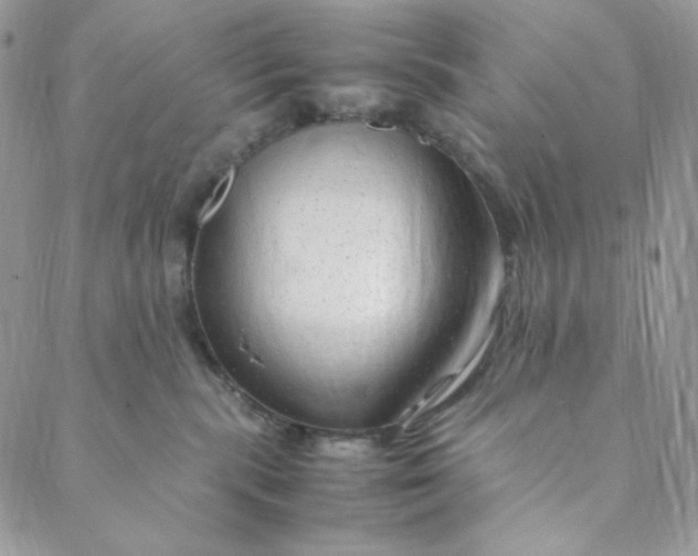 X0000088620283200706081529