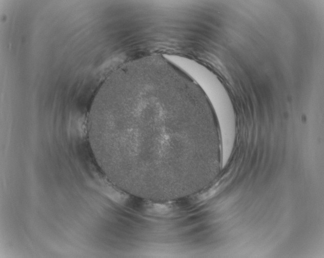 X0000088620285200706081529
