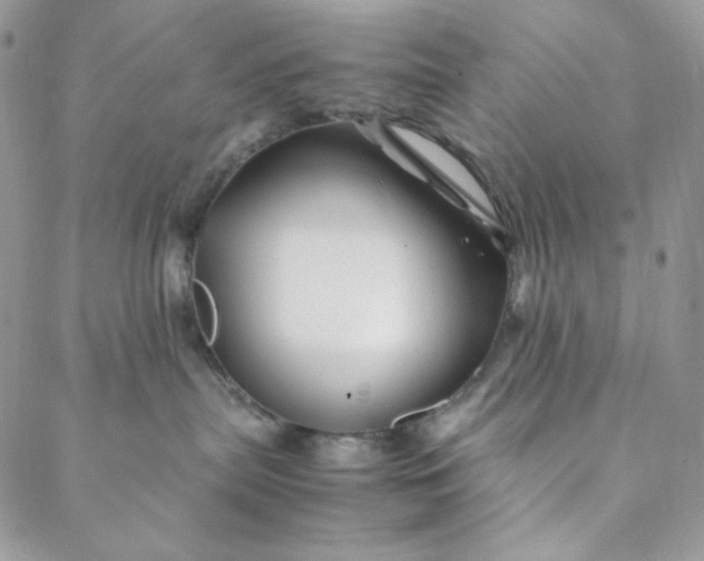 X0000088620287200706081529
