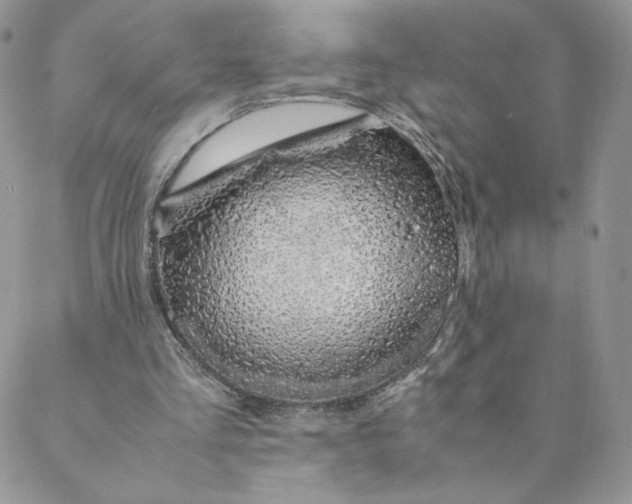 X0000088620293200706081529