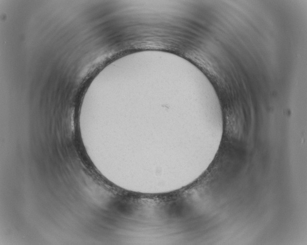 X0000088620302200706081528