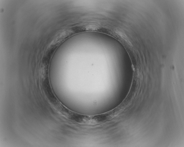 X0000088620311200706081528