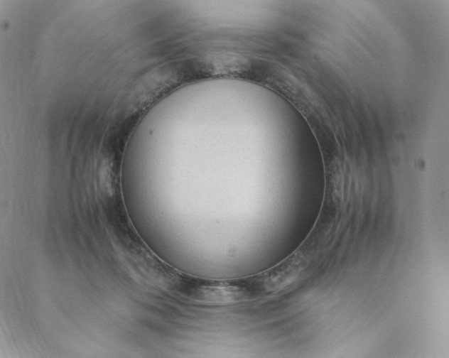 X0000088620316200706081528