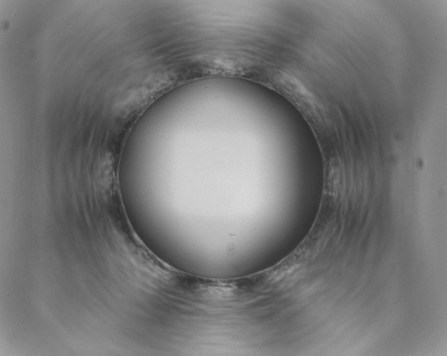 X0000088620318200706081528