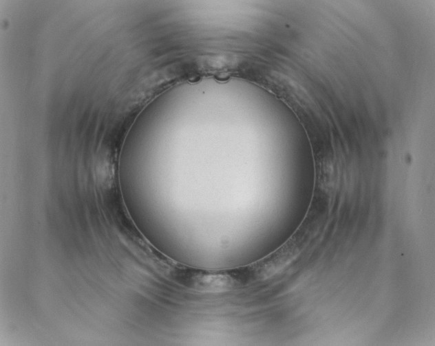 X0000088620324200706081528