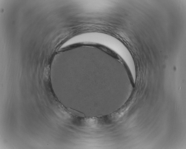 X0000088620325200706081528