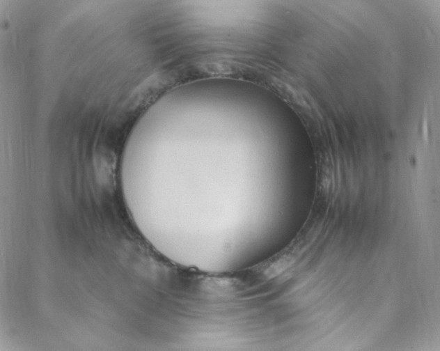 X0000088620332200706081528