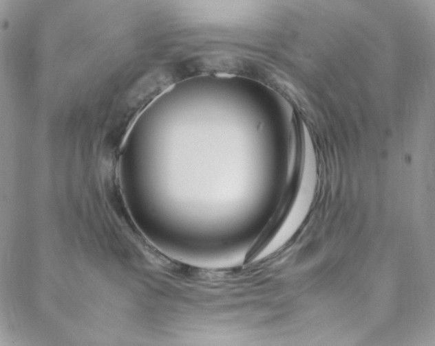 X0000088620333200706081528