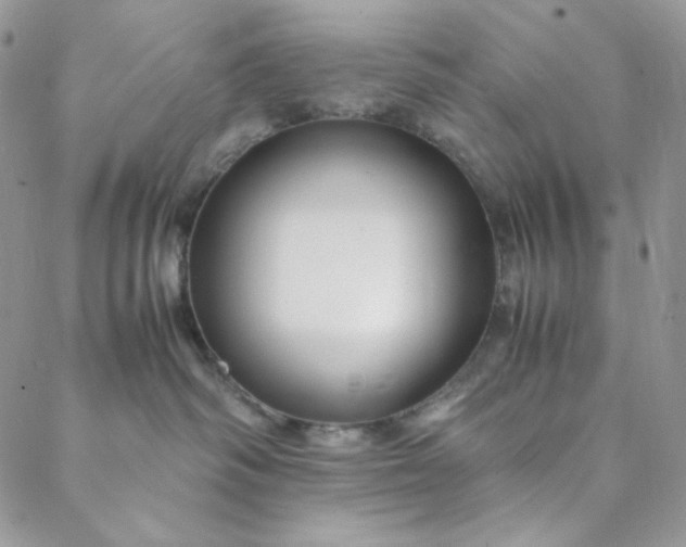 X0000088620334200706081528