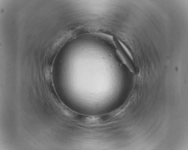 X0000088620335200706081528