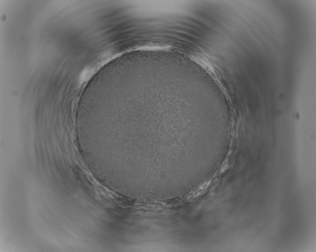 X0000088620337200706081527